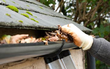 gutter cleaning The Linleys, Wiltshire
