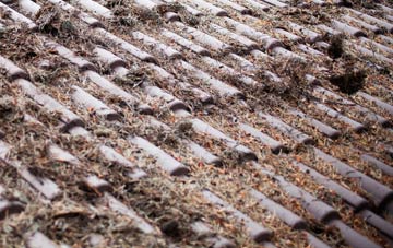 The Linleys roof cleaning companies