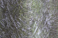 The Linleys fibreglass roof work